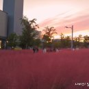 혁신도시중앙공원 이미지