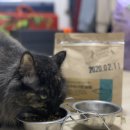 몽펫푸드 이미지