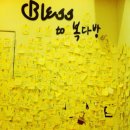 블리스 앤(BLISS &) 이미지