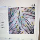 올리스낵 | 금천구미용실 가산 [비비추헤어] 올리베타 OC에너지 디톡 두피해독 프로그램 후기