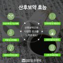 스칸디경희한의원 이미지