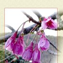 회현농장 이미지