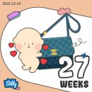 버베나 하우스 | [임신 27주차 - 30주차 ] 임당검사 봄소리산모교실 버베나스튜디오 만삭사진 감성육아템 구매