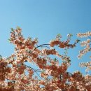 (주)봄봄 이미지