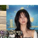 택스큐레이터