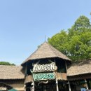 용인 에버랜드 방문후기 주차꿀팁 에버랜드 내부 식당추천 포토존추천