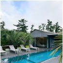 모두두모 이미지