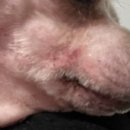 홍제동물병원 이미지