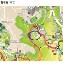 힐링숲 이미지
