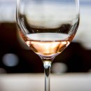 와인 인문학 이미지