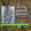 금강식물원 티스토리