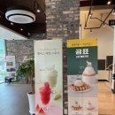 세븐일레븐 부산금강식물원점 | 할리스 표곰이🐻‍❄️크림치즈하우스🍰