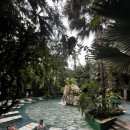 화산농장 | [26.2월 두번째 코스타리카 여행] 아레날 화산체험 원데이투어