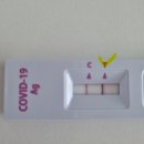 자이이비인후과의원 이미지