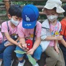 고일어린이집 이미지