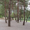 무릉도원면-38 이미지