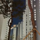 하나랜드공인중개사사무소 이미지