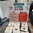 우석헌자연사박물관 | [경기/진접] 29개월 아이와 가기 좋은 남양주 박물관 후기 | 우석헌자연사박물관