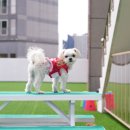 사랑가득한유치원 이미지