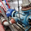 SH네트웍스 이미지