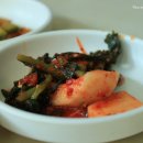 모학촌 Daum카페