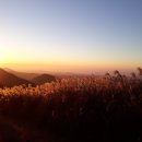 새별오름 이미지