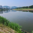 갑천 누리길 이미지