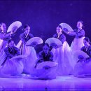 서울시무용단 공연 이미지