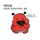 미들 도어 네이버블로그