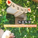 양산마을입구 | 양산 애견호텔 양산 애견카페 "누꼬누꼬" 넓은 운동장 애견카페 이용 후기