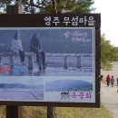 [지자체지원] 문경새재 단풍 길 &amp; 영주 힐링여행 10월31일(토)~11/1일(일)/1박2일 신청해 주세요 이미지