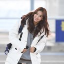 보라 이미지