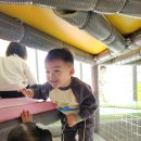 천전동-1 이미지