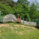 가야검도관 이미지