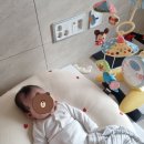 뮤밍트