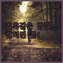 가로등제어 | 가로등 없는 밤길 자전거 블랙박스 추천 내셔널지오그래픽 BIKE 칼더 5종 모델 실제 사용 후기