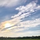 율하체육공원 잔디광장 이미지