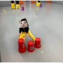 운암태권도 이미지