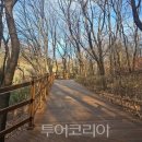 서봉 투어코리아