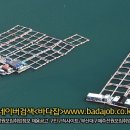 주식회사 태림 Daum카페