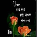 5월 이미지