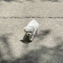 멍믈리에 이미지