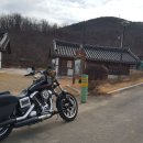 건천 편백나무숲 Daum카페