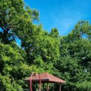 배가정원민박 이미지