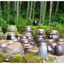 대나무골 이미지