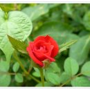 대가집민박 이미지