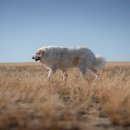 세진스포츠센터 이미지
