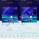 나무늘보;요정