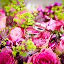 더Florist