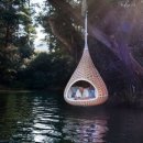 둥지(네스트) 이미지